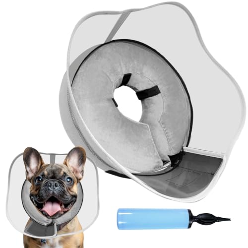 Aufblasbarer Hundekegel, weicher Hundekegel nach Operationen, für M M + L XL Hunde, mit abnehmbarem Anti Lecken Schild und Inflator, 2 in 1 verstellbare Alternative, blockiert nicht die Sicht, Grau Aufblasbarer Hundekegel, weicher Hundekegel nach Operationen, für M M + L XL Hunde, mit abnehmbarem Anti Lecken Schild und Inflator, 2 in 1 verstellbare Alternative, blockiert nicht die Sicht, Grau von SERENEDWELLING