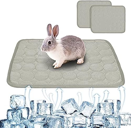 Kühlmatte für Kaninchen, waschbar, für Kaninchen, Kaninchenbett, Meerschweinchen, Käfig, Hamster, Urinis-Pad, Fleece-Schlafmatte für Eichhörnchen, 39 x 30 cm, Grau, 2 Stück Kühlmatte für Kaninchen, waschbar, für Kaninchen, Kaninchenbett, Meerschweinchen, Käfig, Hamster, Urinis-Pad, Fleece-Schlafmatte für Eichhörnchen, 39 x 30 cm, Grau, 2 Stück von SERPEN