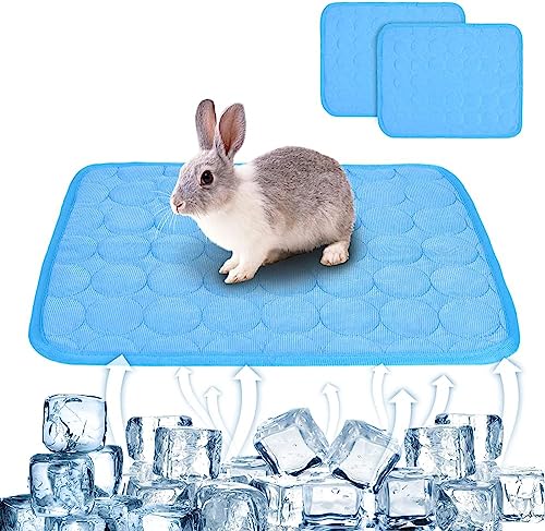 Kühlmatte für Kaninchen, waschbar, für Kaninchen, Kaninchenbett, Meerschweinchenkäfig, Hamster, Urinis-Pad, Fleece-Schlafmatte für Eichhörnchen, 39 x 30 cm, Blau, 2 Stück von SERPEN