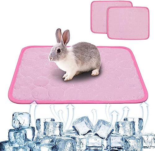 Sommer-Kühlmatte für Kaninchen, waschbar, Kaninchenbett, Kaninchenbett, Meerschweinchen, Käfigfutter, Hamster, Urinis-Pad, Fleece-Schlafmatte für Eichhörnchen, 39 x 30 cm, Rosa, 2 Stück von SERPEN