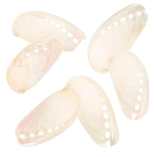 SEWACC 6 Stück Teiliges Abalone Muschel Natürliche Dekoration für Strandhochzeit Tischdeko Vielseitig Verwendbar als Bastel und Wohnaccessoire SEWACC 6 Stück Teiliges Abalone Muschel Natürliche Dekoration für Strandhochzeit Tischdeko Vielseitig Verwendbar als Bastel und Wohnaccessoire von SEWACC