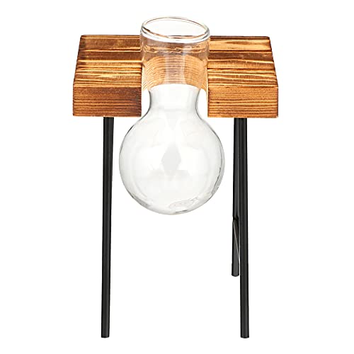 SEWACC Tischständer Tisch Deko Holzdeko Glaspflanzer Birne Vase- Desktop- Anlage Terrarium mit Retro- Holzst?nder für Hydroponics- Hochzeitsdekor Glasbehälter Luftpflanzen von SEWACC