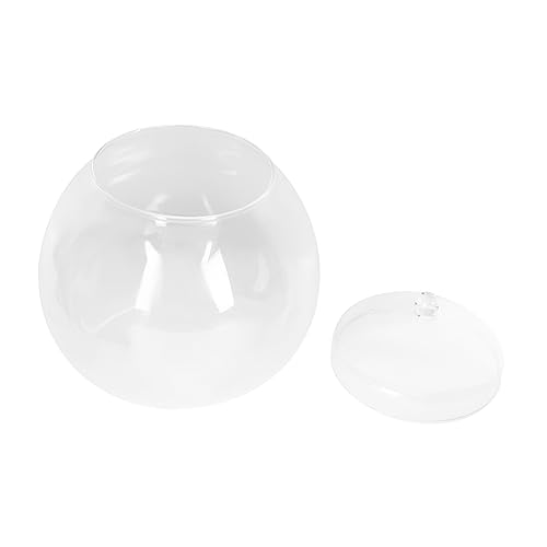 SEWOART 1 Satz Brucea ökologische Flasche bürodeko Living Room Decoration Mooslandschaftsflasche Moos-Terrarium saftig Terrarienschale mit Deckel Anlage Vorratsflasche einfache Glasflasche von SEWOART