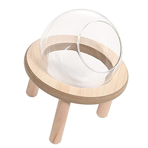 SEWOART Terrarien 1 Satz Glaskugel Badezimmer Hamster-Accessoire Haushalt Hamster Badezimmer Kleine Chinchilla-badewanne Terrariennebler Hölzern Toilettenkäfig Täglicher Gebrauch von SEWOART