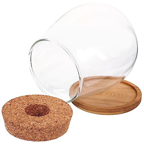 SEWOART Vermehrte Pflanzenvase Fisch Terrarium Glas Landschaftsbehälter Für Innendekor von SEWOART