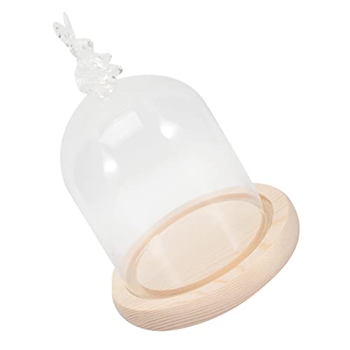 SEWOART 1 Satz Kaninchen Abdeckung Ausstellungsständer Anzeige Drinnen Wohnaccessoires Desktop-Abdeckung Für Blumenhandwerk Unsterbliche Blumenabdeckung Blumenschutzornament Glas von SEWOART