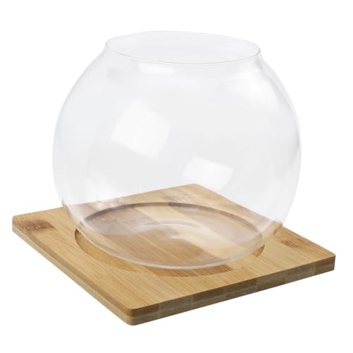 SEWOART DIY-landschaftsflasche Aus Glas Dekorativer Pflanzenaufbewahrungstopf Aufbewahrungsflasche Kleine Fischglasvase Für Zuhause Hotel Esszimmer SEWOART DIY-landschaftsflasche Aus Glas Dekorativer Pflanzenaufbewahrungstopf Aufbewahrungsflasche Kleine Fischglasvase Für Zuhause Hotel Esszimmer von SEWOART