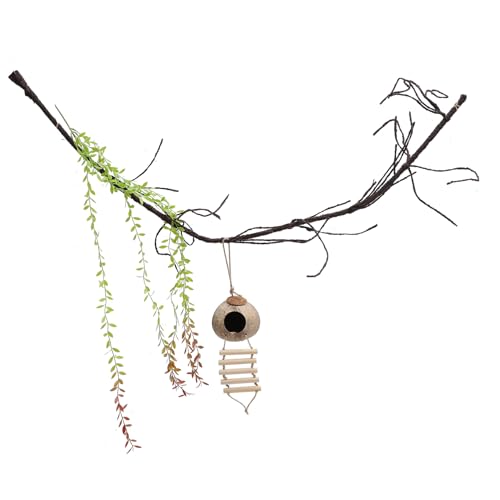 SEWOART 1 Satz Kokosnuss-Versteck Reptil verstecken Abdeckung Terrarium Dekoration Lebensechte Ornamente für Terrarium Zubehör für Geckobecken Simulation Pflanzendekor hölzern SEWOART 1 Satz Kokosnuss-Versteck Reptil verstecken Abdeckung Terrarium Dekoration Lebensechte Ornamente für Terrarium Zubehör für Geckobecken Simulation Pflanzendekor hölzern von SEWOART