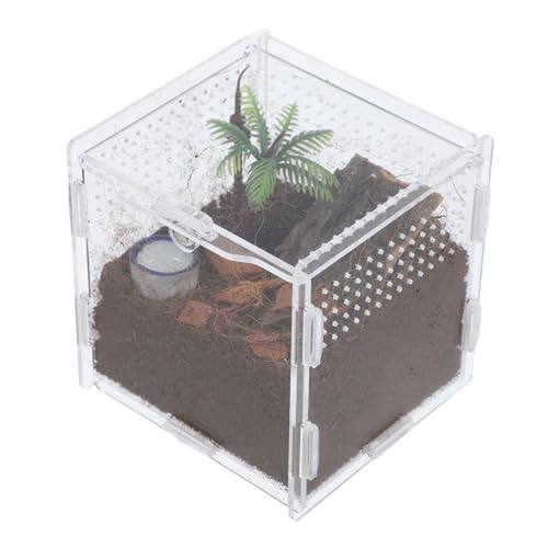 SEWOART Spinnenbox Aus Acryl – Futter- Und Zuchtbehälter Für Springspinnen Mit Schloss Insektenbehälter Für Reptilien von SEWOART