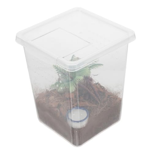 SEWOART Transparente Insektenbehälter für Springspinnen Kriechende Haustierbox mit Fluchtschutz Kleines Spinnenhabitat für Reptilien Interaktives Terrarium aus Sicherem Kunststoff SEWOART Transparente Insektenbehälter für Springspinnen Kriechende Haustierbox mit Fluchtschutz Kleines Spinnenhabitat für Reptilien Interaktives Terrarium aus Sicherem Kunststoff von SEWOART