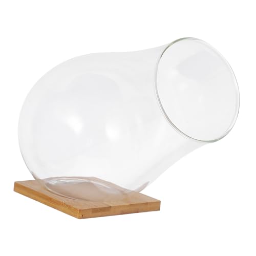 SEWOART Klares Glasterrarium Für Kleine Pflanzen Transparenter Pflanzenschale Mikro-landschaftsbehälter Zum Anzeigen Von Sukkulenten SEWOART Klares Glasterrarium Für Kleine Pflanzen Transparenter Pflanzenschale Mikro-landschaftsbehälter Zum Anzeigen Von Sukkulenten von SEWOART