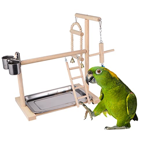 SEWOART 1 Stück Kreativer für Papageien Hängeswing für Kleine Fördert und Bewegung Sicher für Wellensittiche und Nymphensittiche Beige Zufällige Farbe SEWOART 1 Stück Kreativer für Papageien Hängeswing für Kleine Fördert und Bewegung Sicher für Wellensittiche und Nymphensittiche Beige Zufällige Farbe von SEWOART