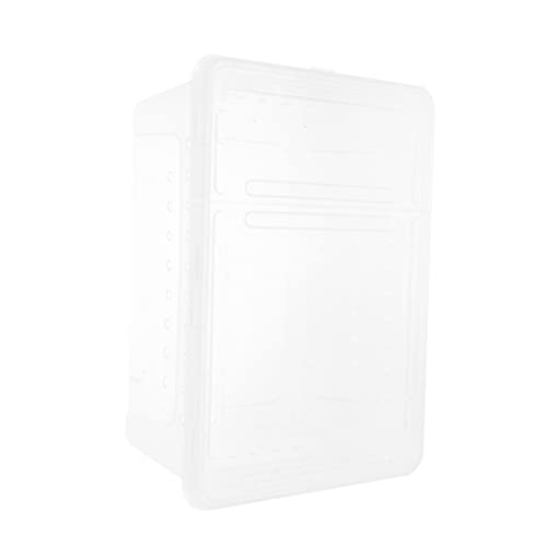 SEWOART 1 Stück Packung Aufzuchtbox Für Insekten Uv Gecko Vivarium Reptil Drinnen Schildkröte Zubehör Füttern Zubehör Für Eidechsentanks Groß Gehäuse Transparent Plastik von SEWOART