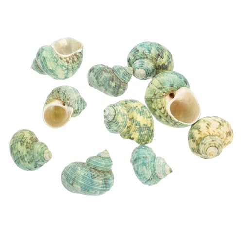 SEWOART 10 Stück Aquarium Landschaftsbau Muschel Aquarium Dekoration Aquarium Schnecken Zubehör dekorative Schale schmücken Krabbe gehäuse Meeresschnecken-Ornamente Aquarium-Layout Muschel von SEWOART