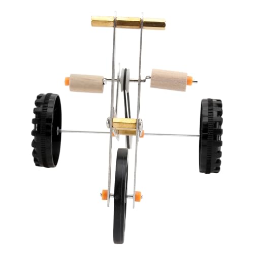 SEWOART Trainingsspielzeug Für Vögel – Trainingsfahrrad Für Papageien – Umweltfreundliches Metall – Spielzeug Für Papageien – Übungsspielzeug Für Vögel von SEWOART