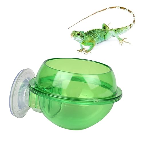 SEWOART 1Pc Reptile Feeder Pet Feeder Tier Schildkröte Trinken Schüssel Fütterung Schüssel Kleine Haustier Trinken Schüssel Lebensmittel Feeder Grün von SEWOART