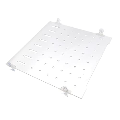SEWOART 1Satz Trennwand für Aquarien Isolierende Isolationsplatte zu Installieren mit Fixierenden Saugnäpfen für Fischhaltung und Aquariengestaltung SEWOART 1Satz Trennwand für Aquarien Isolierende Isolationsplatte zu Installieren mit Fixierenden Saugnäpfen für Fischhaltung und Aquariengestaltung von SEWOART