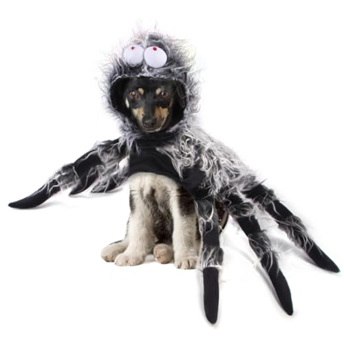 SEWOART Welpenkleidung 1Stk Halloween-Kostüme für Haustiere Halloweenkostüm Hunde-Halloween-Kostüme Kleider Welpengeschirr Haustier-Foto-Requisite gruselige Haustierkleidung die Katze von SEWOART