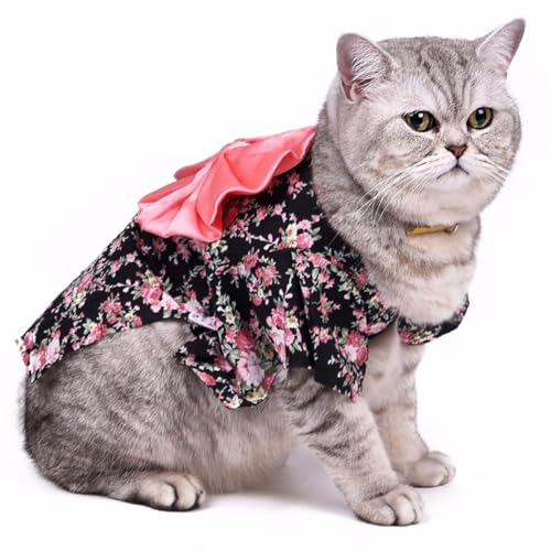 SEWOART 1Stk Hundekleidung Haustier-Geist-Cosplay Kostüm für Hunde Warmer Hundeumhang Hanbok Weihnachtskleidung für Haustiere Kleider Haustierkleidung fein Kimono Japan von SEWOART