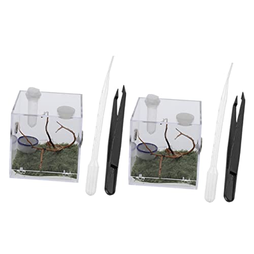 SEWOART 2 Sätze Spinnen-Terrarium Springen Springspinne Sich Gehäuse Sprungspinnengehege Reptilien zubehör glasbehälter Reptilienzuchtbox Container Lebensraum Fall Acryl SEWOART 2 Sätze Spinnen-Terrarium Springen Springspinne Sich Gehäuse Sprungspinnengehege Reptilien zubehör glasbehälter Reptilienzuchtbox Container Lebensraum Fall Acryl von SEWOART