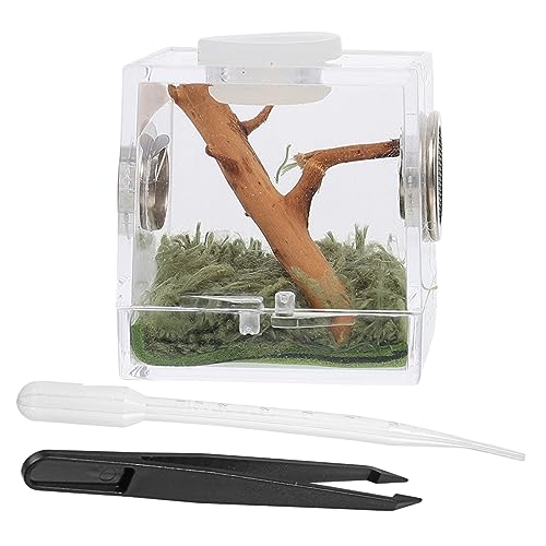 SEWOART 2 Sätze Springspinnen-Zuchtbox Spinnen Terrarien Gecko-Zubehör Terrarienkäfig für Reptilien Stabheuschrecke insektenhäuser Mini Terrarium Insekten Lebensraum Insektenhaus Acryl SEWOART 2 Sätze Springspinnen-Zuchtbox Spinnen Terrarien Gecko-Zubehör Terrarienkäfig für Reptilien Stabheuschrecke insektenhäuser Mini Terrarium Insekten Lebensraum Insektenhaus Acryl von SEWOART