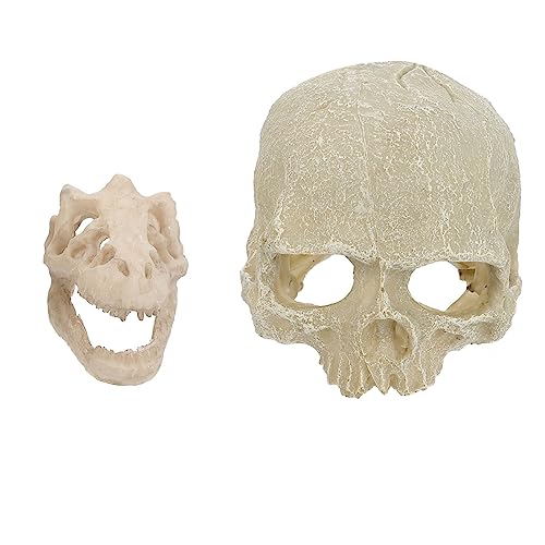 SEWOART 2 Stück Teiliges Aquarium Deko Schädel Form aus Resin Wasserfestes Fish Tank Ornament Kompakt Leicht Vielseitig für Aquarium Fischbecken Wohnzimmer und Schreibtisch Halloween von SEWOART