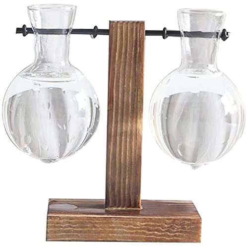 SEWOART Hydrokulturvase Glas Für Zimmerpflanzen Mit Holzständer Wasservase Transparent Blumenvase Dekorativ Home-Office von SEWOART