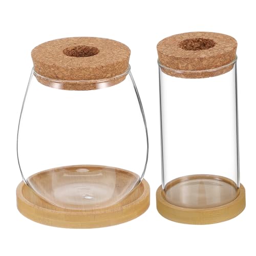 SEWOART 2Stücke Anzuchtrohre mit Korkdeckel und Tablett Hydroponische für Pflanzen Terrarium für Einfache Pflege Vielseitig Einsetzbar SEWOART 2Stücke Anzuchtrohre mit Korkdeckel und Tablett Hydroponische für Pflanzen Terrarium für Einfache Pflege Vielseitig Einsetzbar von SEWOART
