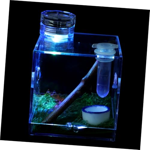 SEWOART 2 Stücke Box Spinne Träger Leichte Spinne Lebensraum Box Mit Fütterung Container Lampe Für Beobachtung von SEWOART