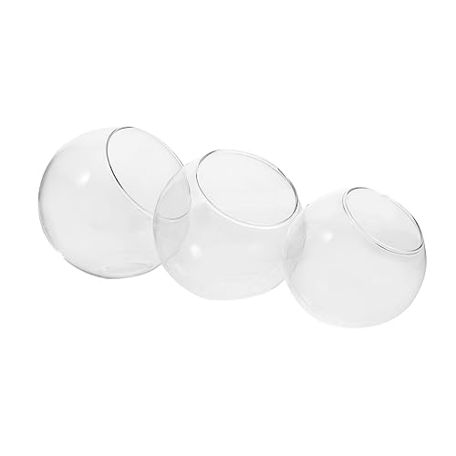 SEWOART 3Stücke Glasvase Für Luftpflanzen Und Moos Terrarium Schräger Flaschenmund Dekorative Glasflasche Für DIY Und Wohnraumdekoration von SEWOART