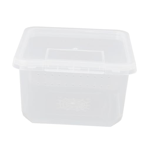 SEWOART 3 Stücke Box Reptil Feeder Box Mini Reptil Container Spinne Gehäuse Nest Luft Durchlässig Critter Keeper von SEWOART