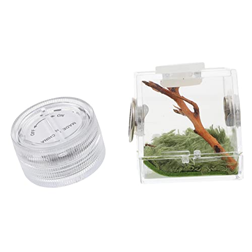 SEWOART 3stücke Spider Habitat Box Für Springspinnen Kompakte Aufzuchtbox Mit Lampe Und Feuchtigkeitsregler Für Beobachtung Und Pflege Von Kleinen Haustieren SEWOART 3stücke Spider Habitat Box Für Springspinnen Kompakte Aufzuchtbox Mit Lampe Und Feuchtigkeitsregler Für Beobachtung Und Pflege Von Kleinen Haustieren von SEWOART