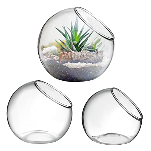 SEWOART Terrarium-schüsseln 3er-Set Große Sukkulentengläser Aus Glas Für Luftpflanzen-terrarien Dekorative Runde Form Für Das Home Office von SEWOART
