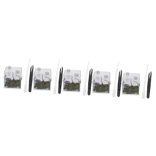 SEWOART 5 Sätze Springspinnen-zuchtbox Gecko-zubehör Vogelspinnengehege Schneckenlebensraum Set Für Schneckenterrarium Schlangenkäfig Mikrolebensraum Der Spinnen Miniaturbausätze Acryl von SEWOART