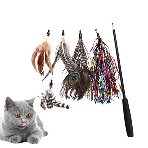 SEWOART Katzenspielzeug Feder Teaser 3 Abschnitte Interaktiv Katzenangel Sticks Für Katzen Lustiges Spielzeug SEWOART Katzenspielzeug Feder Teaser 3 Abschnitte Interaktiv Katzenangel Sticks Für Katzen Lustiges Spielzeug von SEWOART