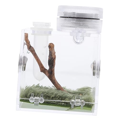 SEWOART Spinnenhabitatbox Mini-springspinnen-zuchtträger Futterbehälter Mit Lampe Leicht Und Tragbar Für Kleine Haustiere SEWOART Spinnenhabitatbox Mini-springspinnen-zuchtträger Futterbehälter Mit Lampe Leicht Und Tragbar Für Kleine Haustiere von SEWOART