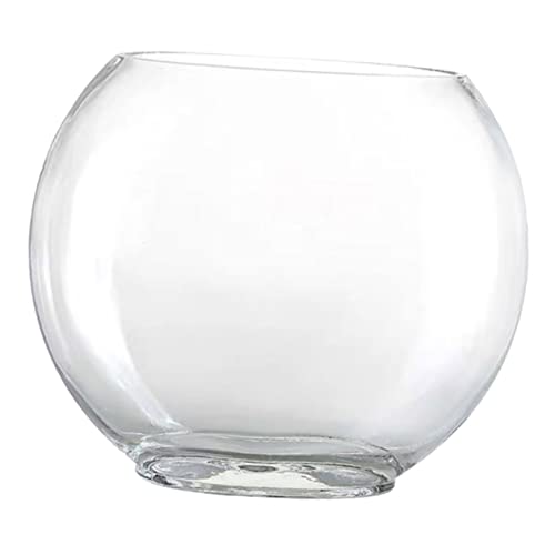 SEWOART Glasterrarium Für Pflanzen Leeres Terrarium Als Mikro-landschaftsflasche Ökologische Moosflasche Zum Befüllen DIY-pflanzenbehälter Mit Glasbehälter Dekorative Flasche Für Blumen SEWOART Glasterrarium Für Pflanzen Leeres Terrarium Als Mikro-landschaftsflasche Ökologische Moosflasche Zum Befüllen DIY-pflanzenbehälter Mit Glasbehälter Dekorative Flasche Für Blumen von SEWOART