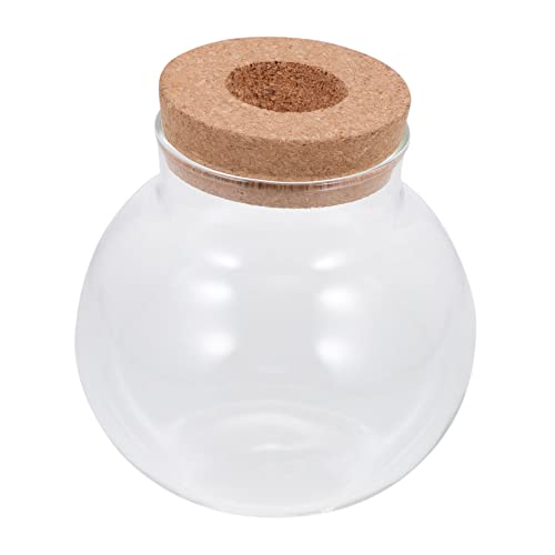 SEWOART Dekorative Glasflasche Für Terrarien Kleine Landschaftsflasche Für DIY Projekte Für Pflanzen Moos Und Aquarien Dekoration Ohne Beleuchtung von SEWOART