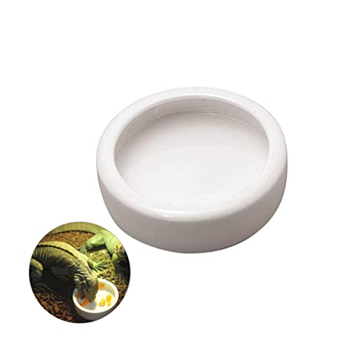 SEWOART Futterbecken für Garnelen tierfutter pet Supplies Aqua Aquarium Futterschüssel aquariendeko Beweisschale entkommen fliehen Futternapf für Garnelen Keramik Essen runde Geschirr Weiß von SEWOART