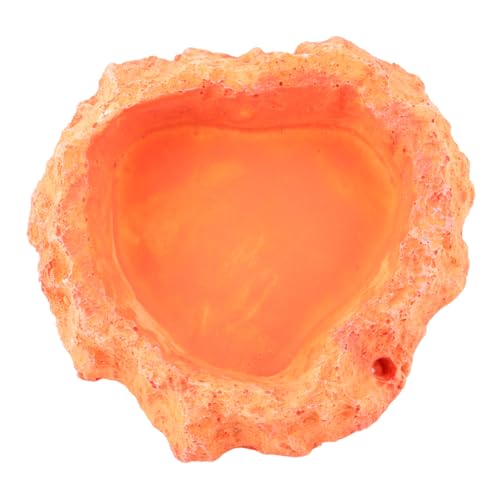 SEWOART Futternapf für Haustiere Lagerung Orange Spinne Becken Futternäpfe für Reptilien Gecko Reptile Feeder Bowl Lizard Feeder Dish schleichtiere kriechender Futternapf Reptilienzubehör von SEWOART