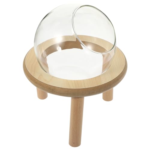 SEWOART Hamsterbett Hamster Unterschlupf Tank Rennmaus Luftpflanzenständer Hamsterkäfig Hamster klo Hamster Terrarium einmachgläser Links Vase kleines Sandbad Hamster badewanne Glas SEWOART Hamsterbett Hamster Unterschlupf Tank Rennmaus Luftpflanzenständer Hamsterkäfig Hamster klo Hamster Terrarium einmachgläser Links Vase kleines Sandbad Hamster badewanne Glas von SEWOART