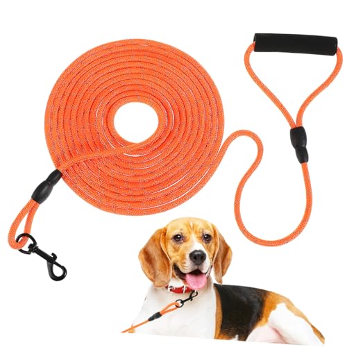 SEWOART Hundeleine Reflektierendes Orangefarbenes Haustierseil 6 M Robustes Nylon Bequemer Griff Hundespaziergangstraining Bis Große Hunde SEWOART Hundeleine Reflektierendes Orangefarbenes Haustierseil 6 M Robustes Nylon Bequemer Griff Hundespaziergangstraining Bis Große Hunde von SEWOART