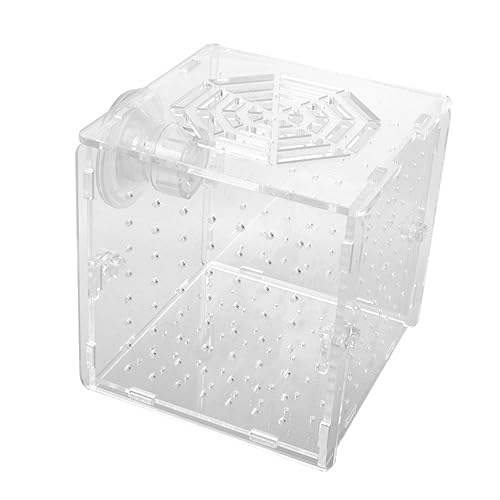 SEWOART Kasten Zuchtbecken Für Aquarien Netz Brutstätte Für Artemia Zuchtnetz Aquarienexemplar Fischgärtnerei Für Aquarien Probenbehälter Für Aquarien Eingewöhnungsnetz Transparent SEWOART Kasten Zuchtbecken Für Aquarien Netz Brutstätte Für Artemia Zuchtnetz Aquarienexemplar Fischgärtnerei Für Aquarien Probenbehälter Für Aquarien Eingewöhnungsnetz Transparent von SEWOART