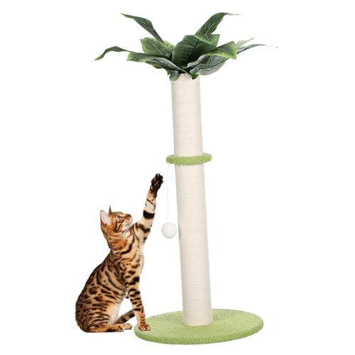 SEWOART Katzenkratzbrett Katzenspielzeug Kratzbaum Kratzmatte Für Katzen Kletterpfosten Für Katzen Kratzspielzeug Für Katzen Austauschbares Kratzbrett Spielzeuge Stoff Die Katze Kratzer von SEWOART