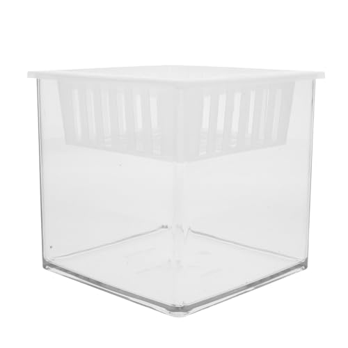 SEWOART Klarer Kunststoff Aquarium Zuchtbehälter mit Pflanzenkorb für Kleine Fische Dekorativer Hydroponik Planter für Schreibtisch und Zuhause Pet Material SEWOART Klarer Kunststoff Aquarium Zuchtbehälter mit Pflanzenkorb für Kleine Fische Dekorativer Hydroponik Planter für Schreibtisch und Zuhause Pet Material von SEWOART