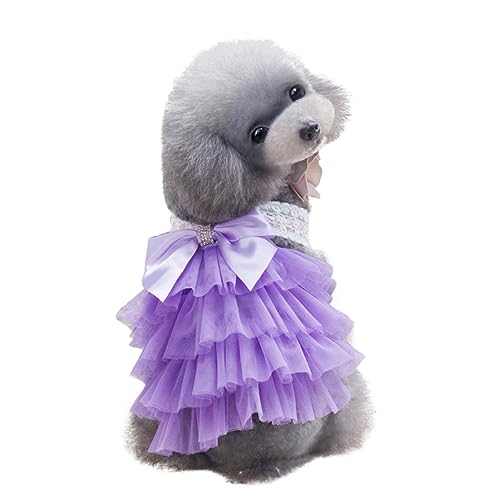 SEWOART Kleid mit Bowknot für Haustiere Spitzenkleid Kostüme für Mädchen Abs Kleider die Röcke Tutu-Kleid für Haustiere Hundekleid Streifen Kleidung Prinzessinenkleid Rock von SEWOART