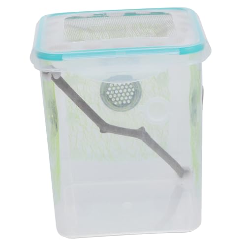 SEWOART Insekten Terrarium Insektenbox Habitat-gehege Für Spinnen Grillen Schnecken Mit Belüftungslöchern Aus Robustem Kunststoff Und Holzmaterial Praktische Futterbox Für Reptilien SEWOART Insekten Terrarium Insektenbox Habitat-gehege Für Spinnen Grillen Schnecken Mit Belüftungslöchern Aus Robustem Kunststoff Und Holzmaterial Praktische Futterbox Für Reptilien von SEWOART