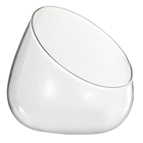 SEWOART Mikro-landschaftsflasche Moos-landschaftsbauflasche Leere Flasche Selber Machen Pflanzenterrarium Mini-landschaftsflasche Mikrolandschaft Leere Flasche Transparent Glas von SEWOART