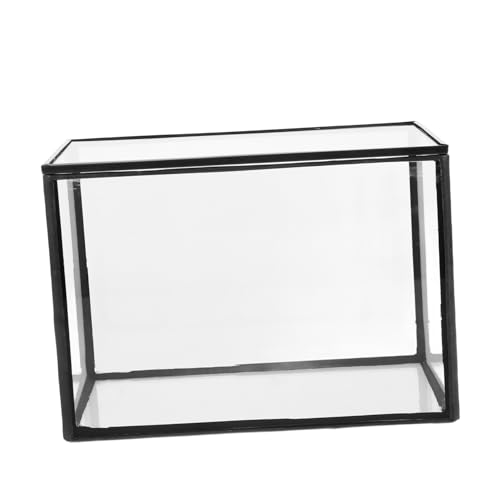 SEWOART Künstlerisches Glasterrarium für den Tisch Mikro-Landschaftsvase -Pflanzenständer SEWOART Künstlerisches Glasterrarium für den Tisch Mikro-Landschaftsvase -Pflanzenständer von SEWOART