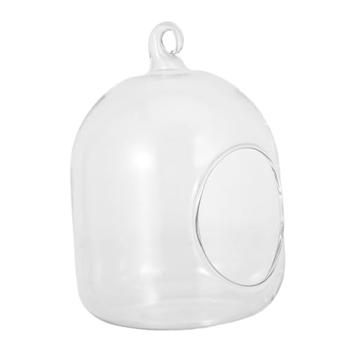 SEWOART Moss Micro Landscape Terrarium Glasflasche Langlebiger Bubble Planter für Tischdeko Miniatur Pflanzen DIY Bürodekoration und Vielseitig Einsetzbar von SEWOART